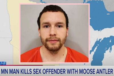 Father Used Moose Antler To Kill Sex Offender He Believed Was 'Attempting To Groom' His Daughter - perezhilton.com - Minnesota - county Cook
