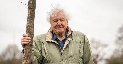 Sir David Attenborough plants tree to open woodland in honour of late Queen - www.ok.co.uk - Britain - London