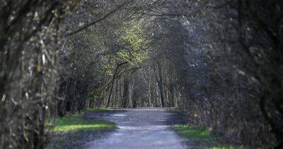 The Manchester park set to become the city's tenth nature reserve - www.manchestereveningnews.co.uk - Manchester - county Woods