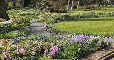 Kirkcudbright garden to open to the public to raise funds for charity - www.dailyrecord.co.uk - Scotland
