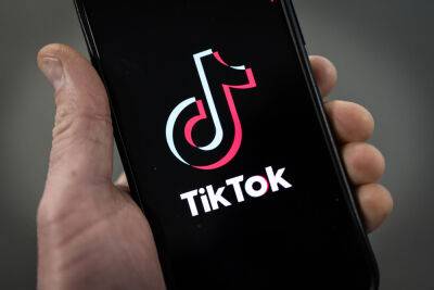 France Bans TikTok & Other ‘Recreational Apps’ Such as Netflix, Candy Crush & Twitter From State Employee Work Phones - deadline.com - France - USA