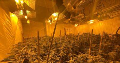 Man arrested after police find cannabis farm with around 200 plants inside house - www.manchestereveningnews.co.uk - Manchester