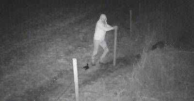 Police release CCTV of man they'd like to speak to after farm fence 'uprooted' - www.manchestereveningnews.co.uk