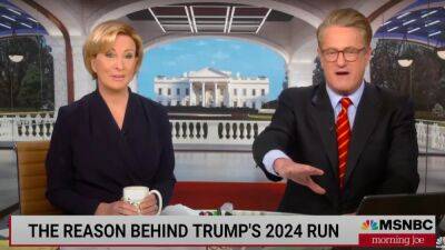 ‘Morning Joe’: Mika Brzezinski Snipes That Trump ‘Still Can’t’ Get His Kids Out to Support Him (Video) - thewrap.com