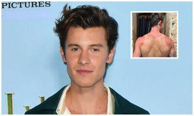Shawn Mendes suffers burns on his back during his visit to the pyramids in Mexico - us.hola.com - Mexico