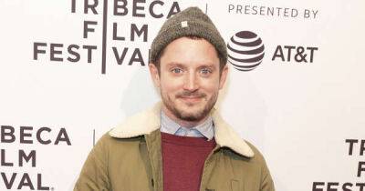 Elijah Wood becomes a dad for the second time - www.msn.com