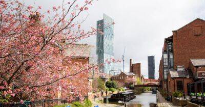 The most beautiful places you can see blossom in Manchester this spring - www.manchestereveningnews.co.uk - Britain - Manchester