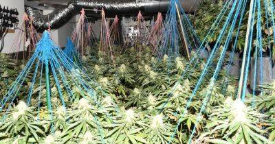'Substantial' cannabis farm found in town centre house - www.manchestereveningnews.co.uk - Manchester - city Rochdale