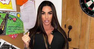 Katie Price 'drops out of TV comeback last minute' causing 'major headache' with bosses - www.msn.com