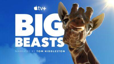 Tom Hiddleston To Narrate Apple Wildlife Series ‘Big Beasts’ - deadline.com - county Grant