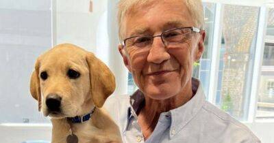 Paul O'Grady final For The Love Of Dogs series given air date after star's death - www.ok.co.uk - Britain