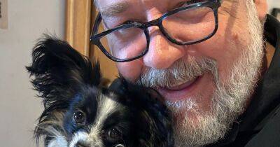 Russell Crowe sobs over death of his puppy after pooch died in his arms - www.ok.co.uk - city Sandiland