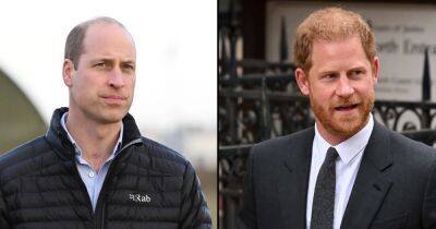 Royal Expert Thinks Prince William ‘Should Have Responded’ to Prince Harry’s ‘Spare’ to Extend ‘The Hand of Brotherhood’ - www.usmagazine.com - USA - county King George