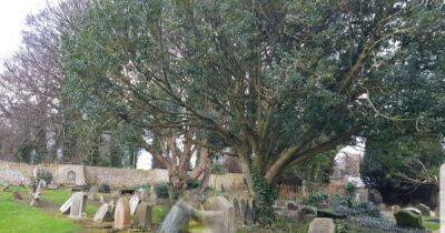 Eerie image of 'ghost' kneeling by grave captured in Outlander filming location - www.dailyrecord.co.uk - Scotland - county Walker