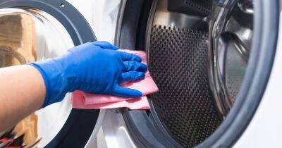 Washing machine hack that 'banishes black marks' from seals in 'five minutes' - www.dailyrecord.co.uk - Beyond