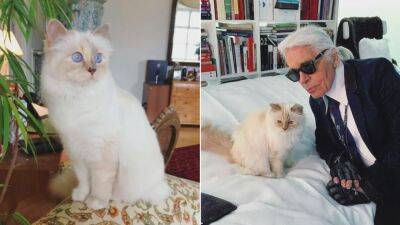 Choupette Lagerfeld Will Attend The Met Gala, Thank God - www.glamour.com - Germany