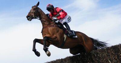 Grand National 2023 runners - full list of horses racing this year - www.manchestereveningnews.co.uk