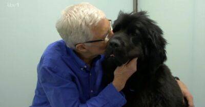 Paul O'Grady For The Love Of Dogs viewers in tears over 'I've got to go' goodbye message as ITV pay 'silent' tribute to late star - www.manchestereveningnews.co.uk