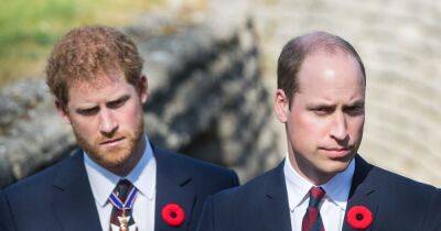 William 'won't even look' in Harry's direction at Coronation, says expert - www.ok.co.uk - Britain - London - California - county Charles