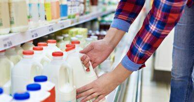 Lidl, Asda, Aldi and Sainsbury's follow Tesco as milk price war ramps up - www.dailyrecord.co.uk - Britain - county Bristol - county Bell - Beyond