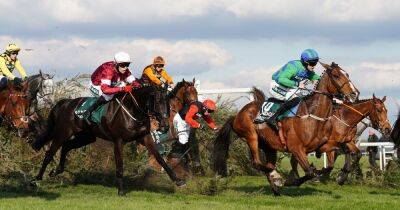 Hill Sixteen dies after falling during the Grand National - www.manchestereveningnews.co.uk - Britain