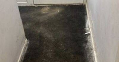 Mum left terrified for daughter's health in mouldy and damp flat - www.manchestereveningnews.co.uk - Manchester