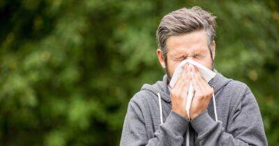 Scotland hay fever warning as 'pollen bomb' set to hit country this week - www.dailyrecord.co.uk - Britain - Scotland - Beyond