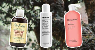 The Best Shampoos for Men With Curly Hair - www.usmagazine.com