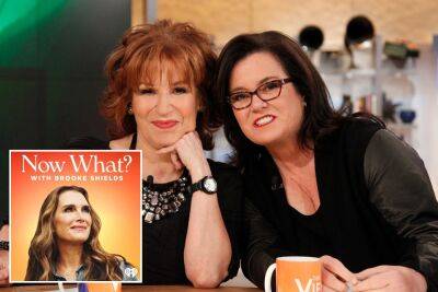 Rosie O’Donnell trashes ‘The View’: ‘Not something I’d ever do again’ - nypost.com - Iraq