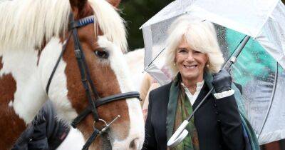 Queen Consort Camilla gives up hobby as she says she's 'too old' - www.ok.co.uk - Britain - Germany - Berlin