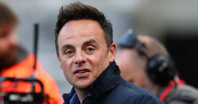 Hero Ant McPartlin saves four puppies as woman collapses in the park - www.ok.co.uk - Britain - county Dale