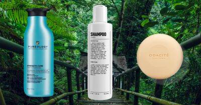 The Best Shampoos for Damaged Hair in 2023 - www.usmagazine.com - Beyond