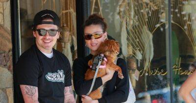 Brooklyn Beckham supports wife Nicola as couple head out in LA with dogs - www.ok.co.uk - Los Angeles - city Studio - county Lamb