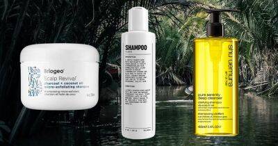 11 Best Shampoos for Thin, Oily Hair - www.usmagazine.com
