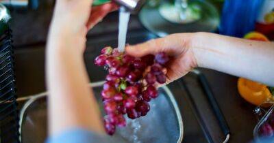 Woman 'shocked' after washing grapes - and urges others to always do the same - www.dailyrecord.co.uk