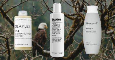 12 Best Shampoos and Conditioners For Hair Loss - www.usmagazine.com