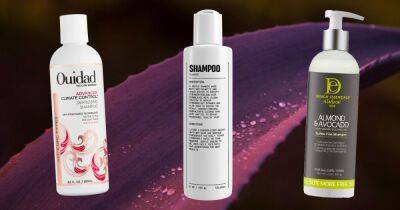 16 Best Shampoos for Curly Hair - www.usmagazine.com