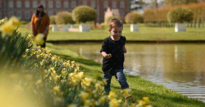 200,000 FREE National Trust family day passes up for grabs in our fantastic giveaway - www.ok.co.uk - Britain - Ireland