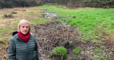 'It's an environmental scandal': Fury after 'open sewer' ruins field earmarked for community woodland - www.manchestereveningnews.co.uk - Manchester