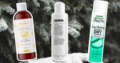 The Best Shampoos for Oily Hair and Dandruff - www.usmagazine.com