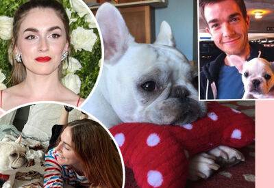 Exes John Mulaney & Anna Marie Tendler Mourn Dog Petunia's Death - perezhilton.com - France