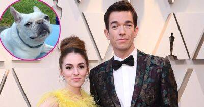 John Mulaney and Ex-Wife Anna Marie Tendler Separately Mourn Death of Beloved French Bulldog Petunia - www.usmagazine.com - France
