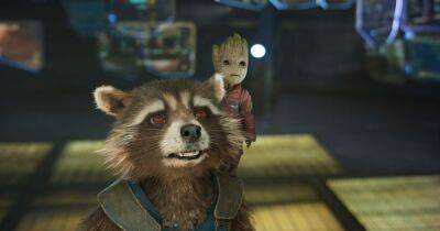James Gunn Says Rocket’s Origin Story In ‘Guardians Of The Galaxy Vol. 3’ Is ‘Just Chilling’ - etcanada.com - county Story
