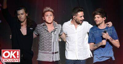 Liam Payne 'desperate for a One Direction reunion and trying to contact Harry Styles' - www.ok.co.uk - USA - county Logan