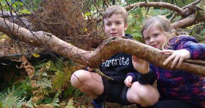 Colvend and Palnackie Primary pupils enjoy outdoor learning - www.dailyrecord.co.uk