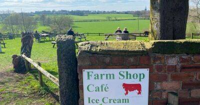 The hidden gem farm shop with stunning views, free outdoor play area and baby emus - www.manchestereveningnews.co.uk - Manchester - county Cheshire