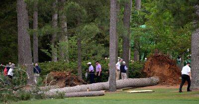 Masters TREE falls at Augusta National with patrons and players in lucky escape as weather worsens - www.dailyrecord.co.uk - Spain - Scotland