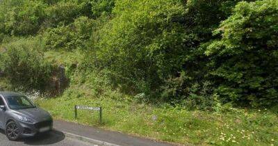 Police investigate as human remains found in woodland in Wales - www.manchestereveningnews.co.uk