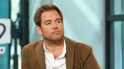 'NCIS' Alum Michael Weatherly Mourns Death of His Brother Will - www.etonline.com