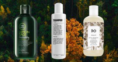 18 Best Thickening Shampoos in 2023 - www.usmagazine.com